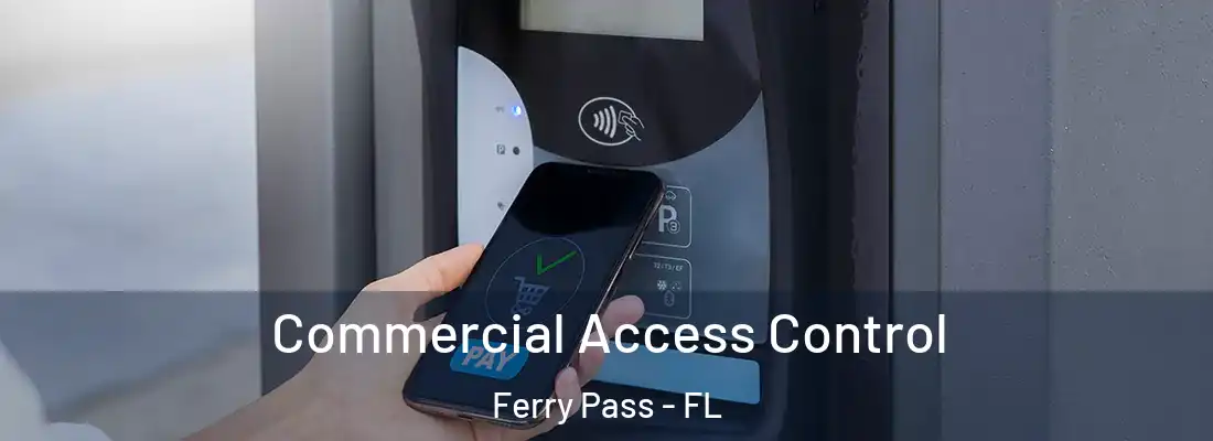  Commercial Access Control Ferry Pass - FL