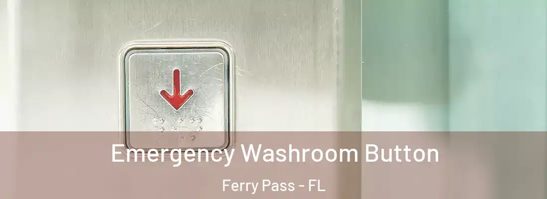  Emergency Washroom Button Ferry Pass - FL