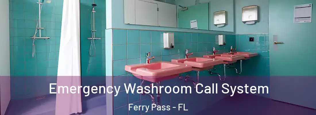  Emergency Washroom Call System Ferry Pass - FL