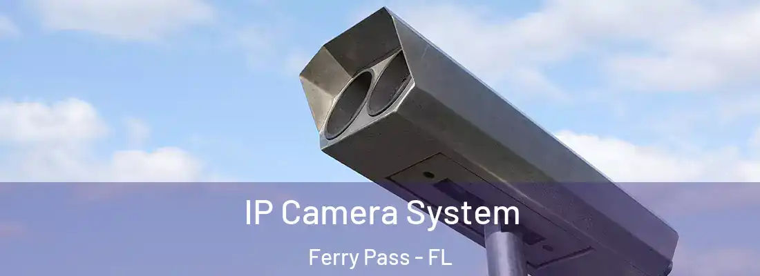 IP Camera System Ferry Pass - FL