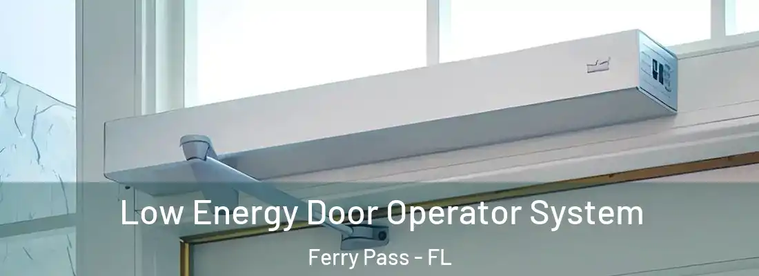 Low Energy Door Operator System Ferry Pass - FL