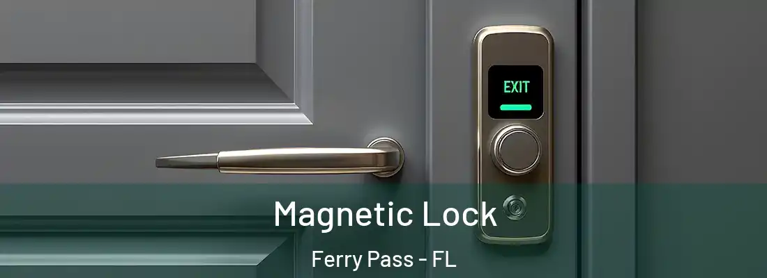  Magnetic Lock Ferry Pass - FL