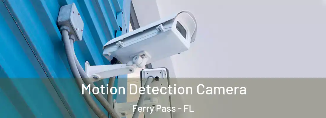 Motion Detection Camera Ferry Pass - FL