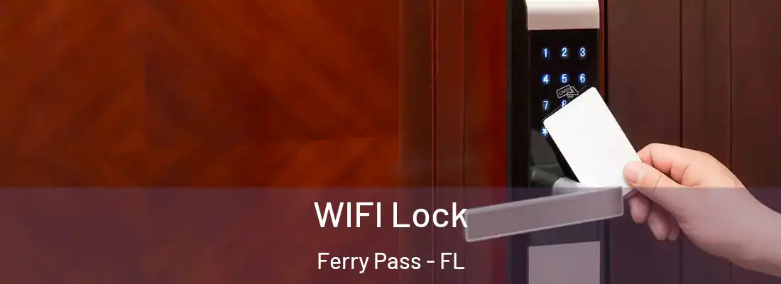 WIFI Lock Ferry Pass - FL